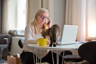 Hemmajobb med laptop, katt och kaffekopp