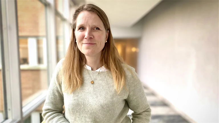 Karin Broberg professor miljömedicin