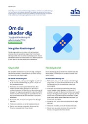 Omslag till faktablad Om du skadar dig