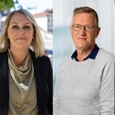 Christoffer Rydenfält, Lena Hallengren, Anders Tegnell, Kristina Palm