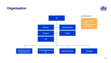 Slide med organisationsträd och förklaring