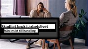 Presentationsbilder: Skadligt bruk i arbetslivet