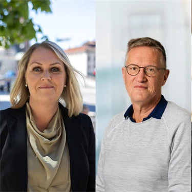 Christoffer Rydenfält, Lena Hallengren, Anders Tegnell, Kristina Palm