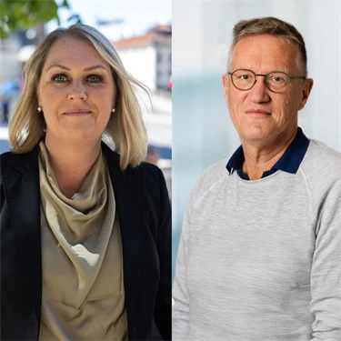 Christoffer Rydenfält, Lena Hallengren, Anders Tegnell, Kristina Palm