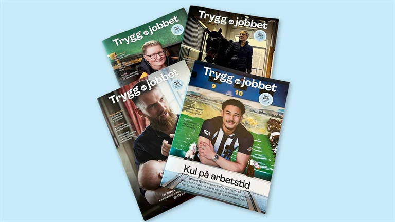 Exempel av olika nummer av Trygg på jobbet