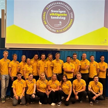 Gruppbild av svenska Yrkeslandslaget 2025, alla i gula landslagströjor.