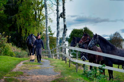 ima133407-johner.se-Michael Jönsson.jpg