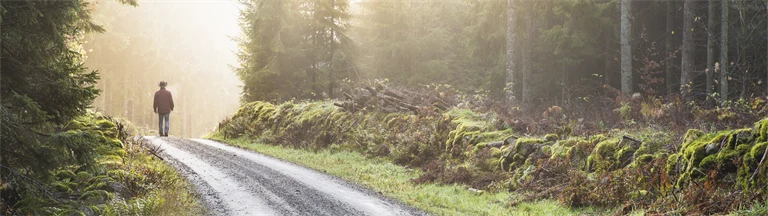 en person går på en landsväg med skog runt omkring i skymningen